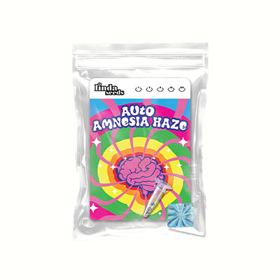 Auto Amnesia Haze semilla > Linda Seeds | NUESTRAS RECOMENDACIONES DE SEMILLAS DE MARIHUANA  |  Semillas Baratas